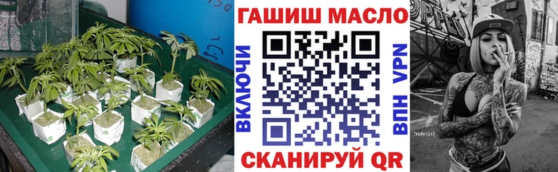Дистиллят ТГК концентрат  где можно купить   Алексеевка 